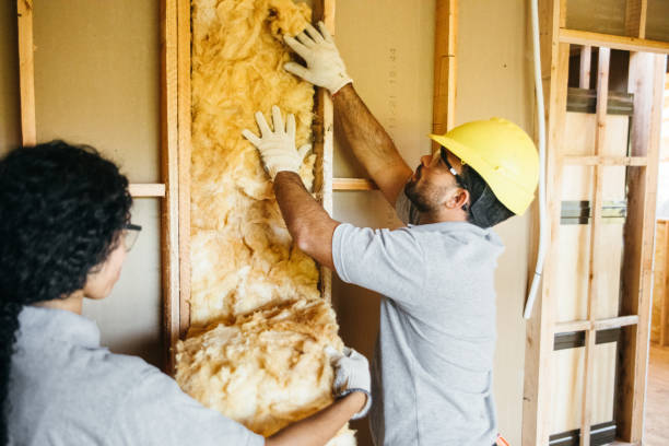 Best Spray Foam Insulation  in Russellton, PA